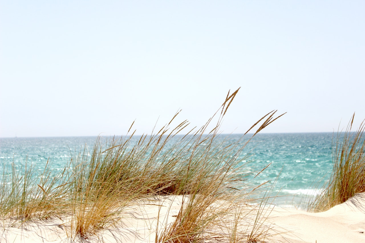 Dunes